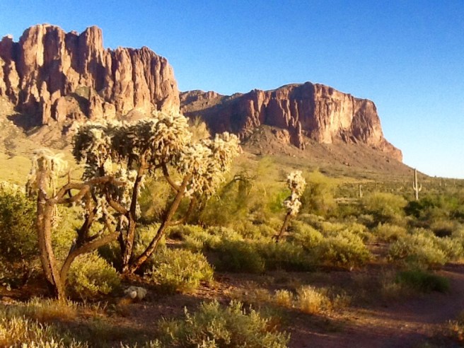 667E1867-BFB4-43D1-9545-86A3A9B0DD5F