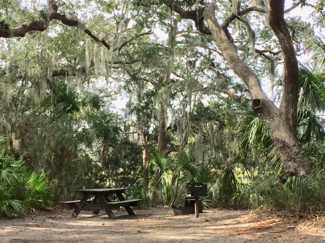 74AAAE97-B7B0-4DDD-B0F0-B7B8730766F7