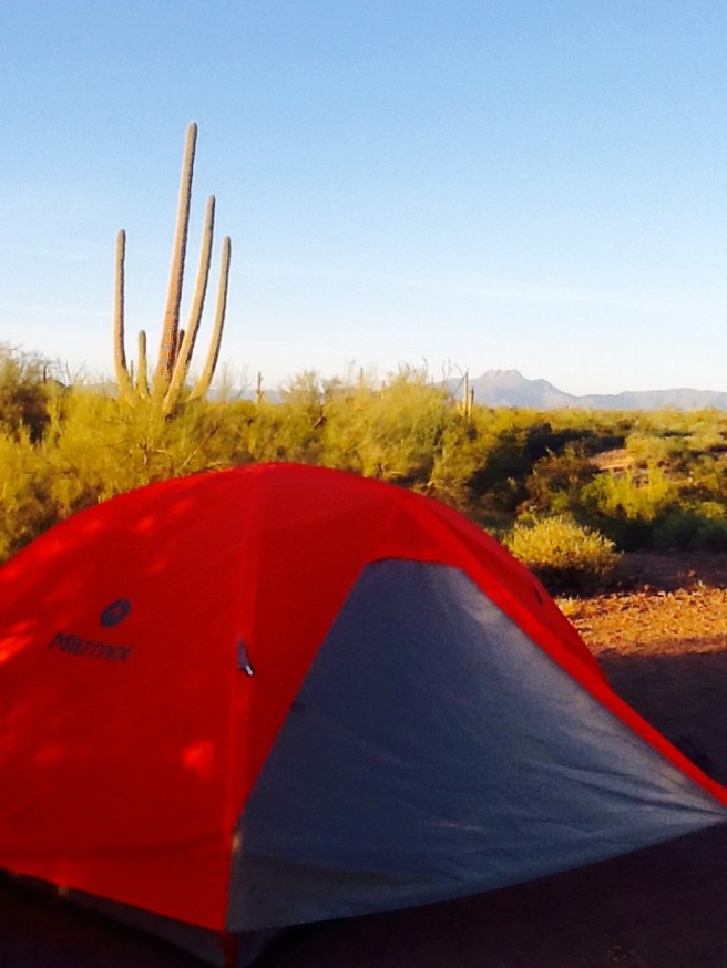 88BEF6C9-5419-4500-8647-FFE305EB3FC0