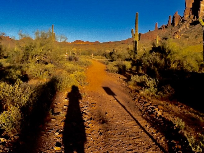 B0C1E9E0-36F9-4053-A46A-23EA641CA25A