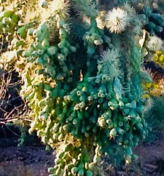 E5607E60-8804-4F63-90E2-2C66FFD21544