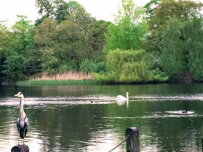 1818A2F9-CD10-4DC1-A8FA-C84B6A993084