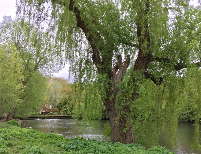 19B58418-38F4-45F4-A084-FB00E2965554