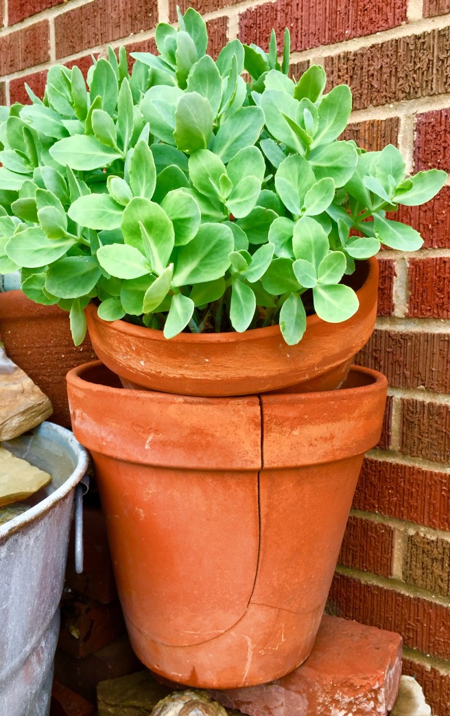 21C42071-611A-41D8-A0DD-B06442DF8FD1